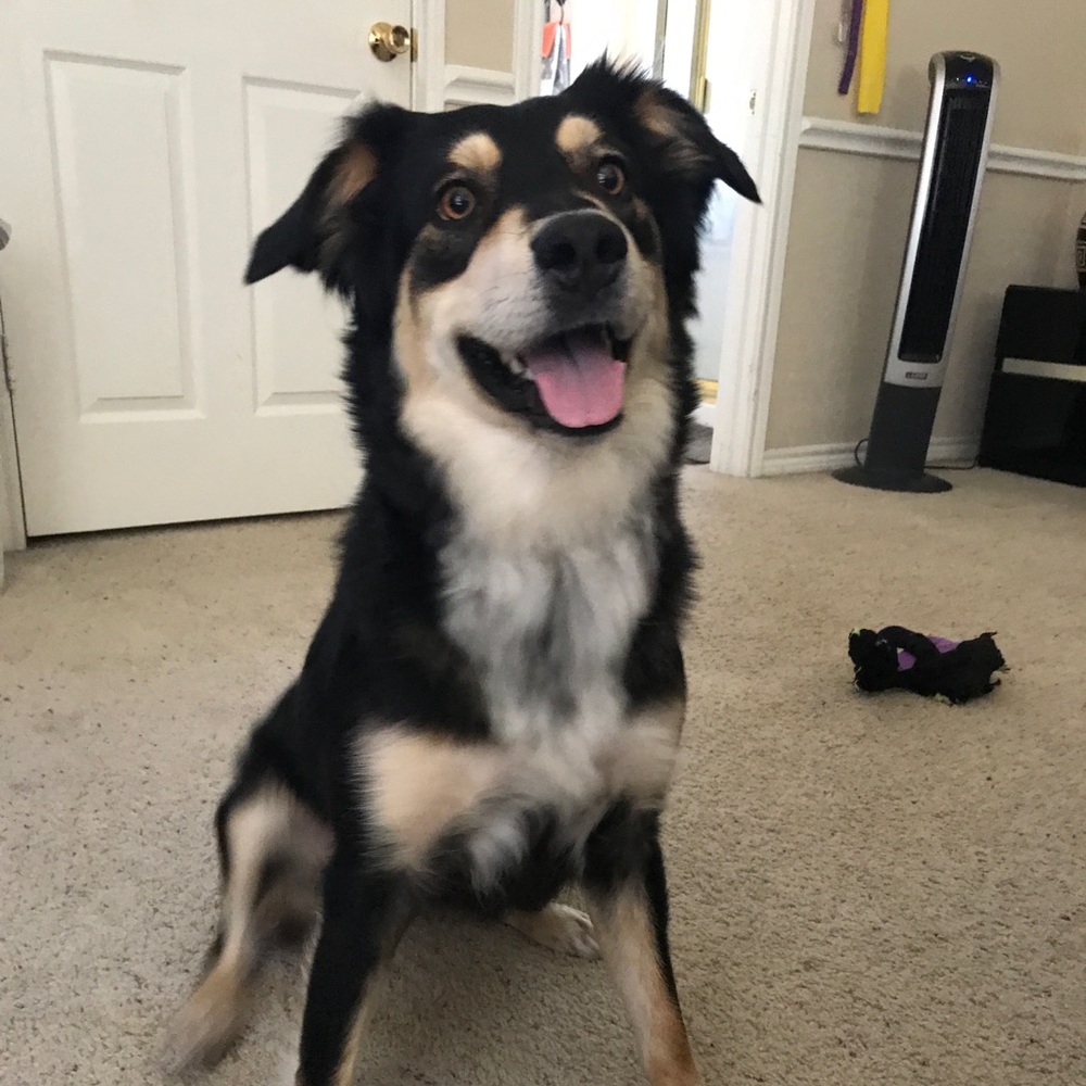 Meet your Posher, Hillery